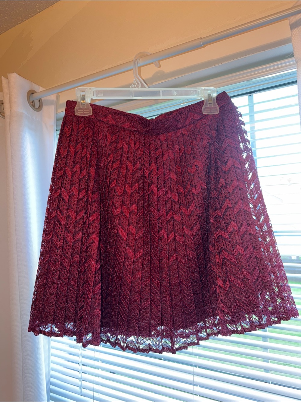 Francesca's Collections Burgundy Lace Circle Skirt